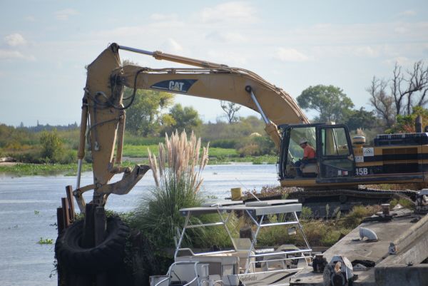 Construction excavator working on wetlands site