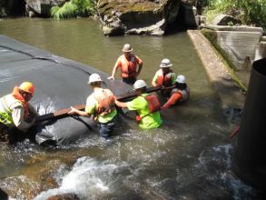 Construction workers in wetlands working